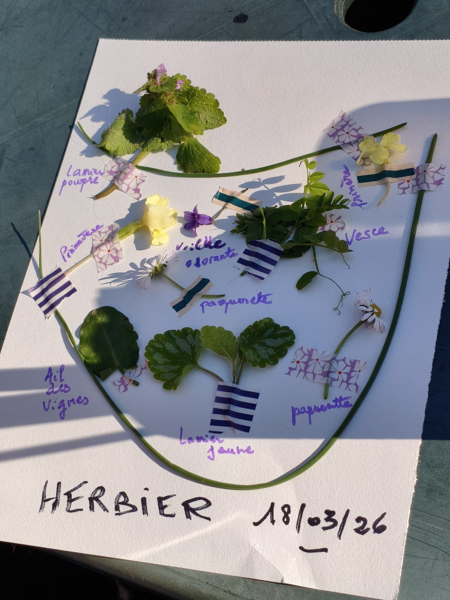 Un bel après-midi chez papi Jean