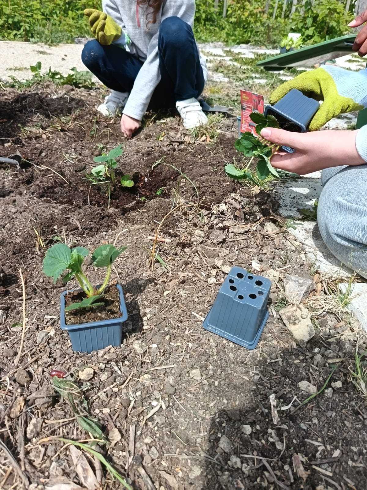Le centre de loisirs au jardin d&rsquo;Odette