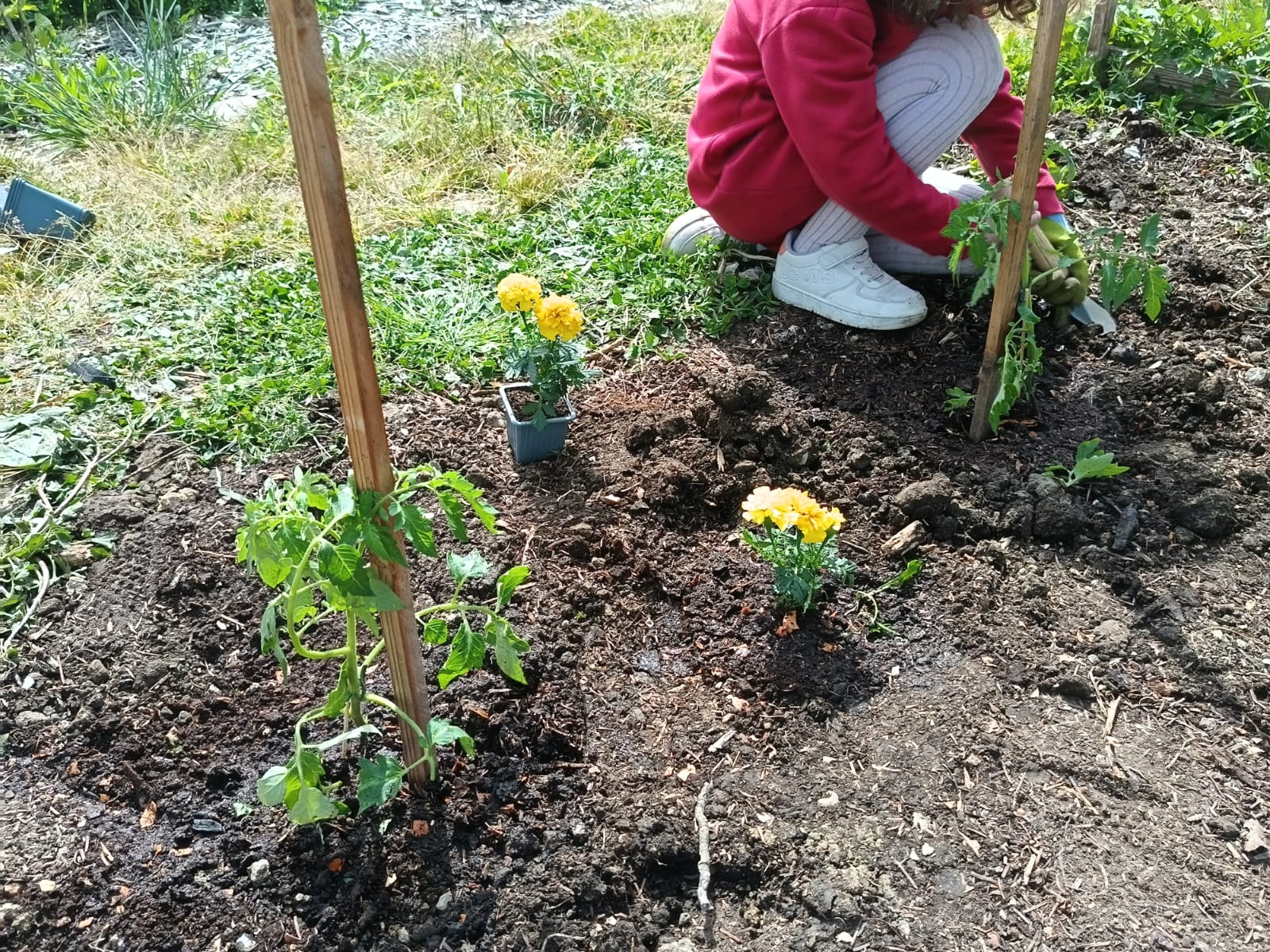 Cet été, on profite du jardin